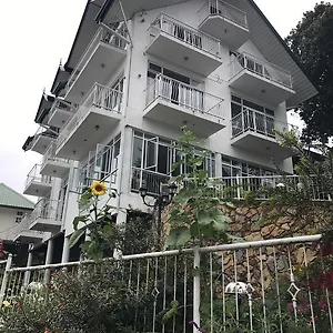 Misty Paradise Of Gregory Bed & Breakfast
